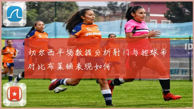 切尔西半场数据分析射门与控球率对比布莱顿表现如何